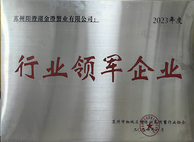 行業(yè)領軍企業(yè)